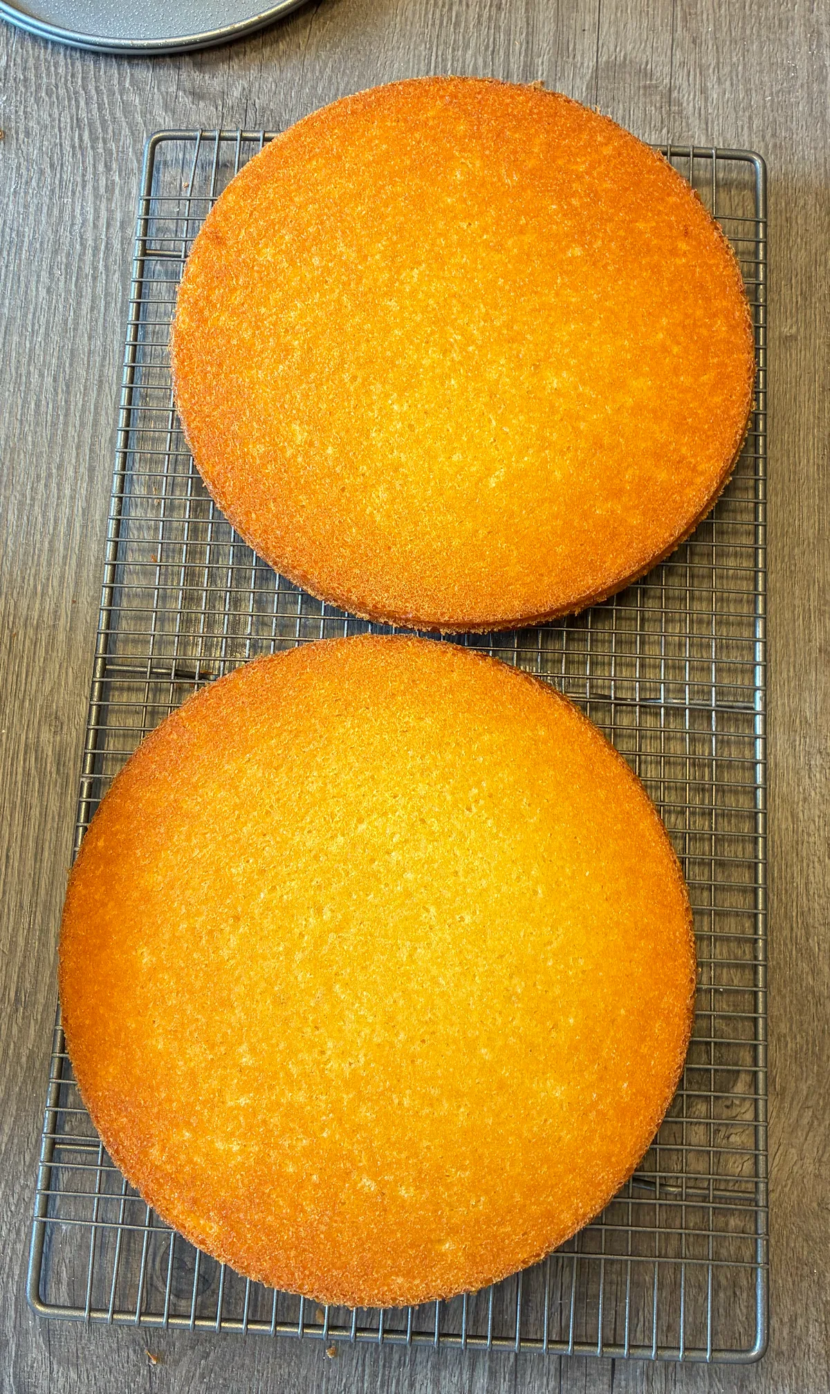 Two golden sponges cooling on a wire rack